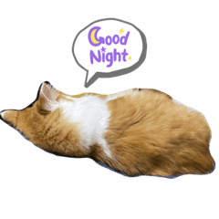 Yuka Okamoto_20210915154910