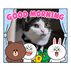 kuu_20210914125743