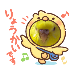 Family's pretty Birds