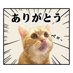 kinako's Sticker_sn