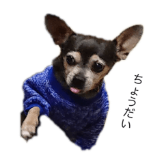 Natsumi_20210910220309