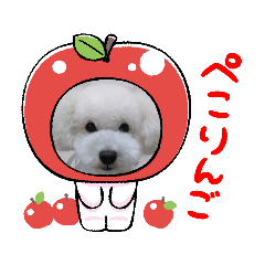 shizu_20210915161146