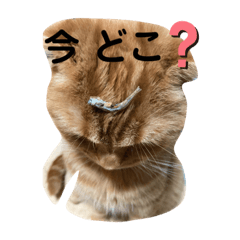 nanairo_20210915154058