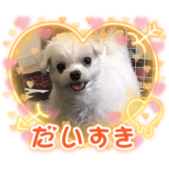 miki_20210915190011