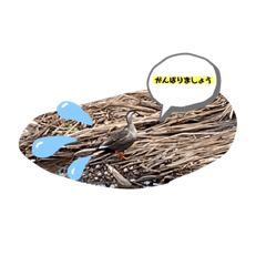 akiko_20210915213932