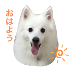 suzu_20210910223126