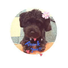 asako_20210915165846