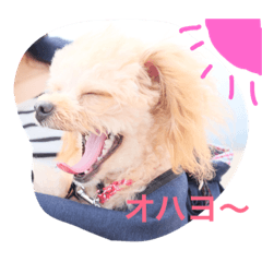 pupu stamp  dailylife