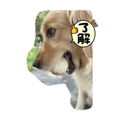 yanagi_20210910215453