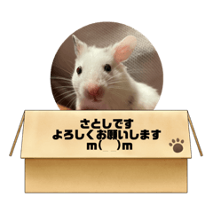 さとしの日課