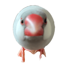 miki_20210910213308