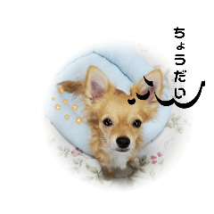 masao._20210916042032