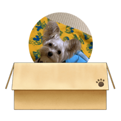 MIZUKI_20210916075058