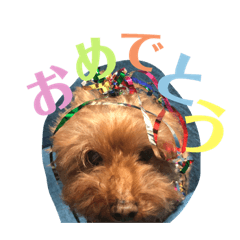 Days with my fluffy one #2