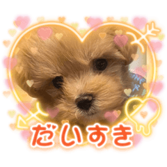 miki_20210916102302