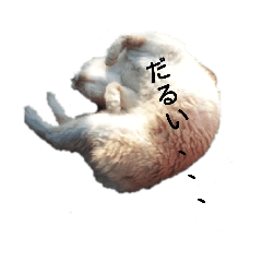 kaori1122