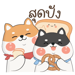 Shibi & Mugi : Shiba Inu Chubby