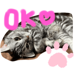 yuina_20210915195924