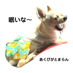 Ryuki_20210916125245