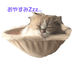 Seira_20210911095050