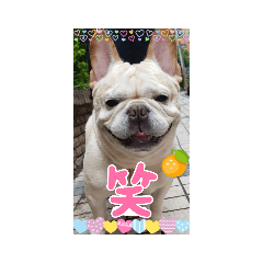 我是豆豆，我已經是位小天使了！