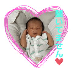 Hikari_20210916151301