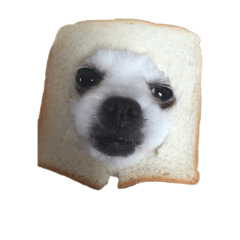 nong pao and nong new