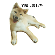 shibao_