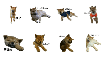 shibao_