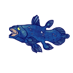 Deep-sea fish activities