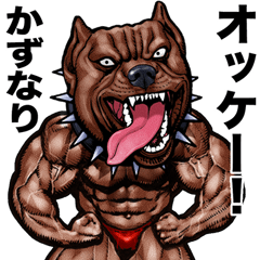Kazunari dedicated Muscle macho animal
