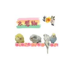 春嬌志明&吳悠吳綠
