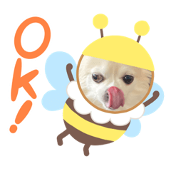aoi_20210911124729