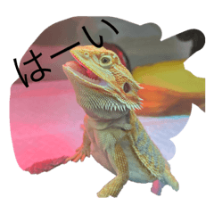 hiyori_20210911121140