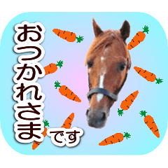 Honorific stickers with gentle horses
