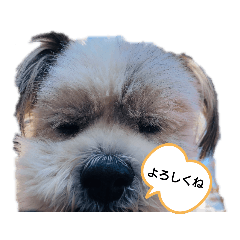 akiko_20210916154042