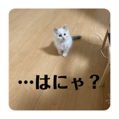 yun_20210916192014