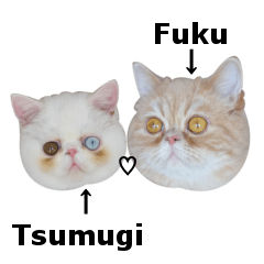 Fuku&Tsumugi
