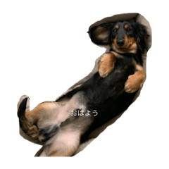 renta nakano_20210916195322