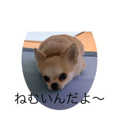 ricky_20210911092138