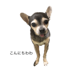 Natsumi_20210910225331