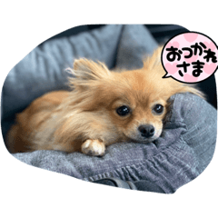 ponzu_20210911105431