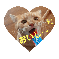mayumi_20210916223055