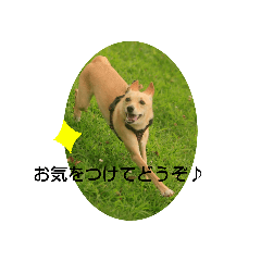 tomomi_20210916220541