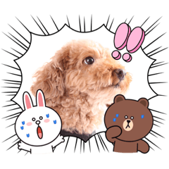 tommy_20210916234227