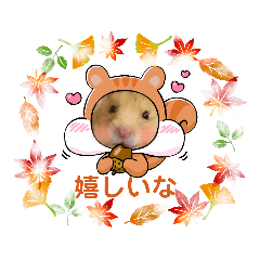 shizu_20210917020453