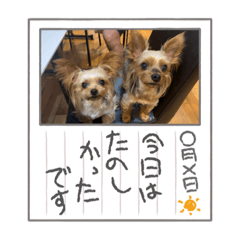 achi_20210911154630