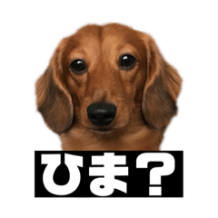 nanana_20210911161529