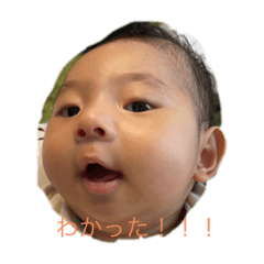 Koko_20210911161900