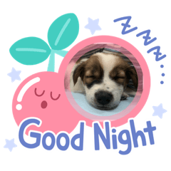 Chisa_20210916154811